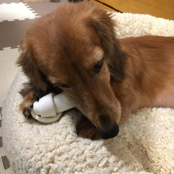 F31502ca da70 4c32 a1ab feb64e732965 1574431311898