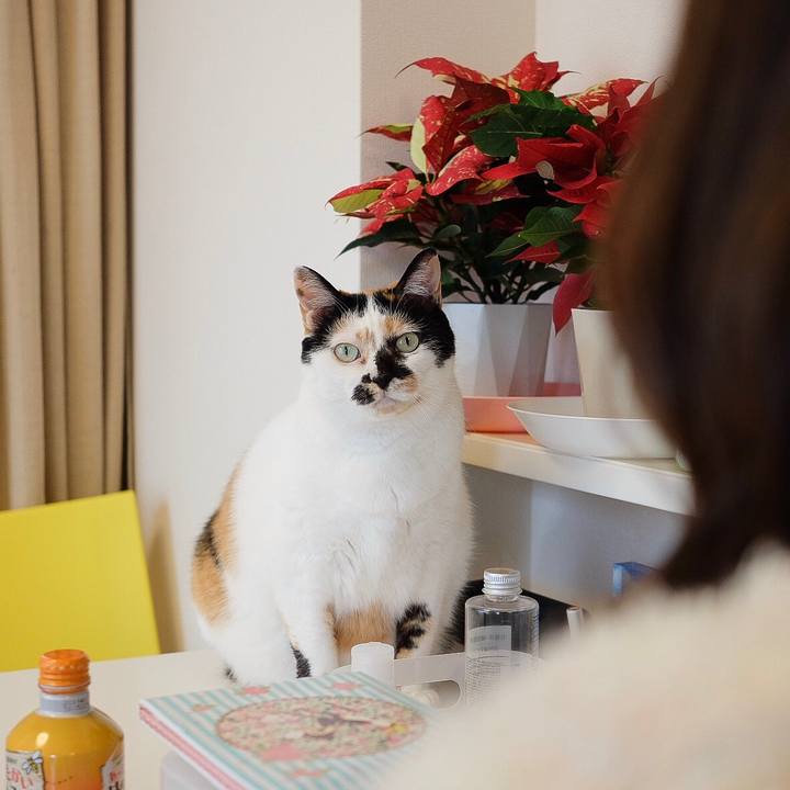 F31503a2 ede1 417f b976 7fc49a5bb6cd 1549973704327