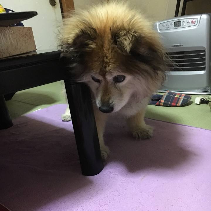 F3155044 19ba 403a bf76 4876108333d7 1560467836878