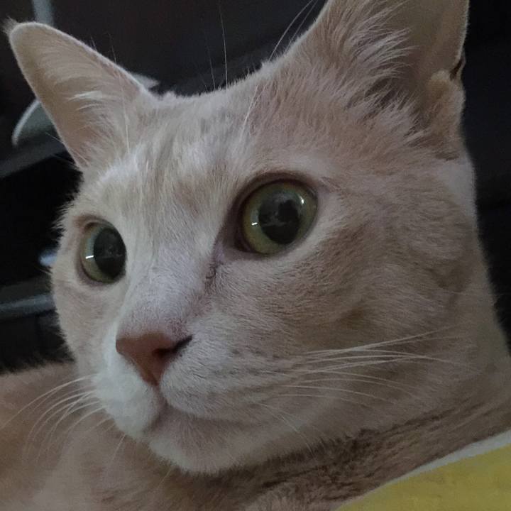 F31560a6 a77f 488f abf0 e2cf177bc301 1526300335614