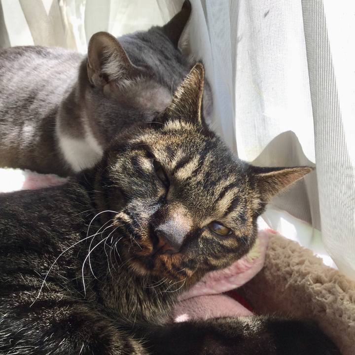 F31591ce 398a 4639 b9ce dd1108488de4 1616038886643