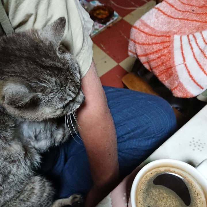 F315bab0 0a20 4881 87a3 004a9be575ec 1593717985289