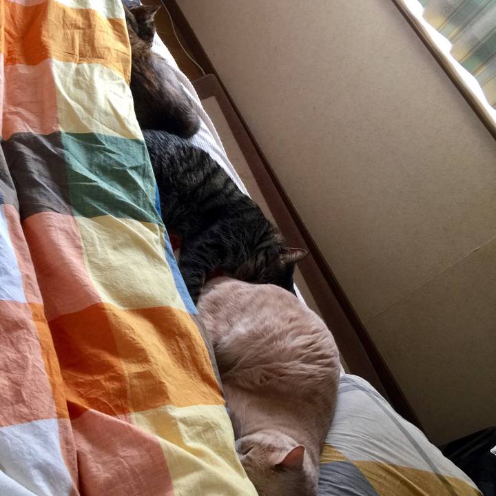 F315e755 5c09 47c1 9a2d ae057b9ba82e 1539602349827