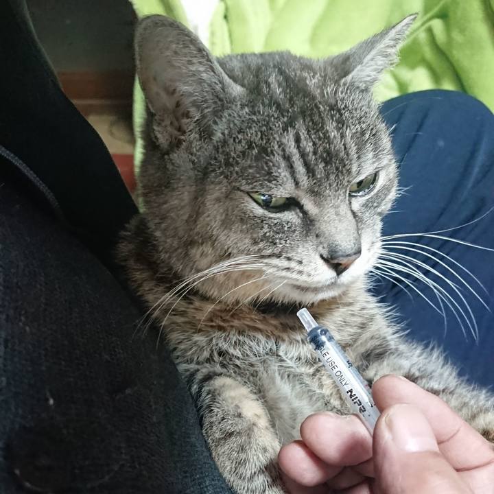 F315eb52 bc6b 486e ac30 4dfc88f20e85 1583099975841