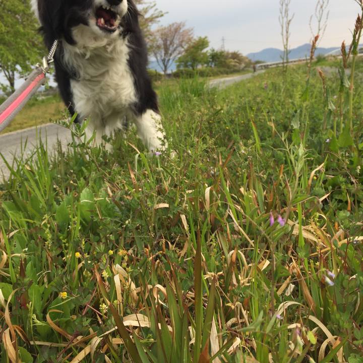 F3161861 5886 40ae b3fc 270b4c18e53f 1586560545468