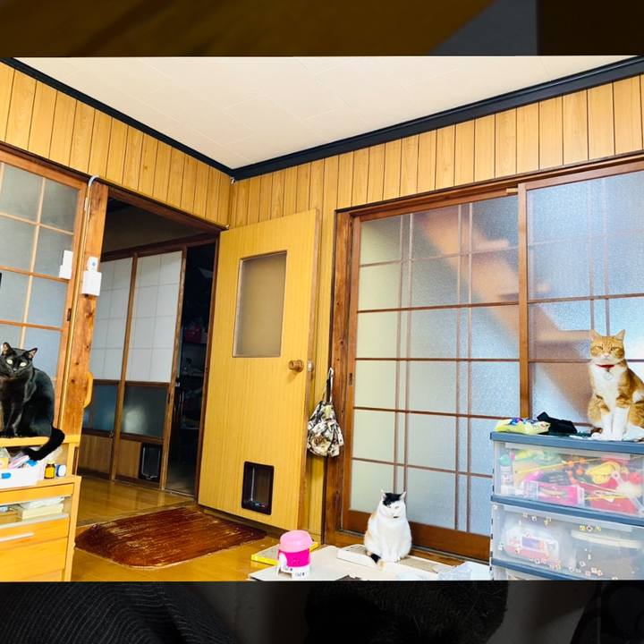 F3164301 5b1a 4bc1 8acd 2ddc0091fc68 1697117198781