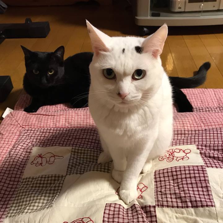 F3164cd4 7b53 4942 9da8 ec700f05c4f8 1580990248603