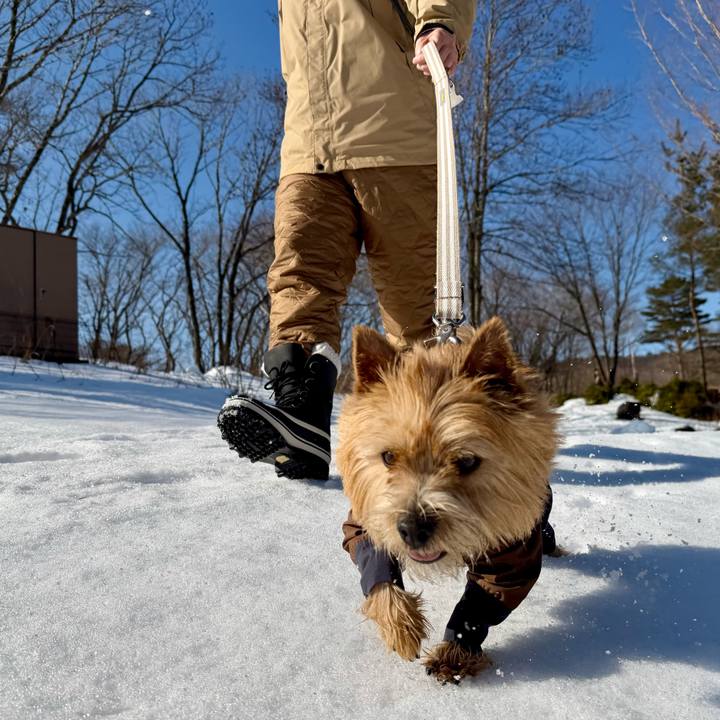 F31682b2 af12 4aed be3d b533c635c493 1768716841939