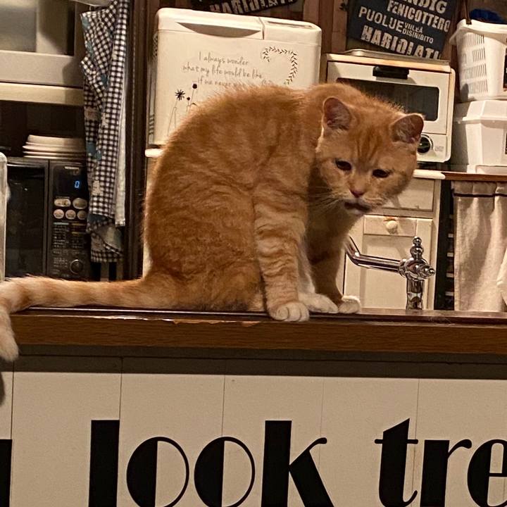 F316a09b 46b6 4e55 ab8f 18627a528bf6 1595085939873