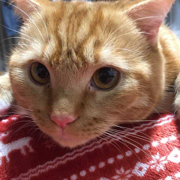 F316b616 12e8 4879 8426 60230fd54499 1517921586446