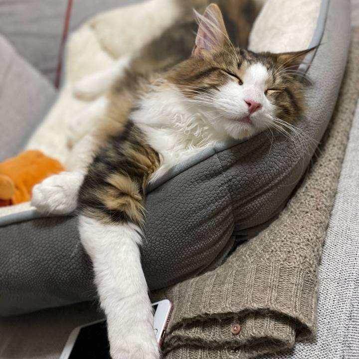 F316df48 b26c 4f7b ac7d 5b27d729fa06 1638530752982