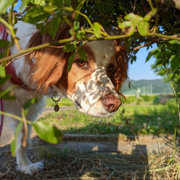 F316e9d2 49eb 453f a7e5 f2f13239602c 1665196040166