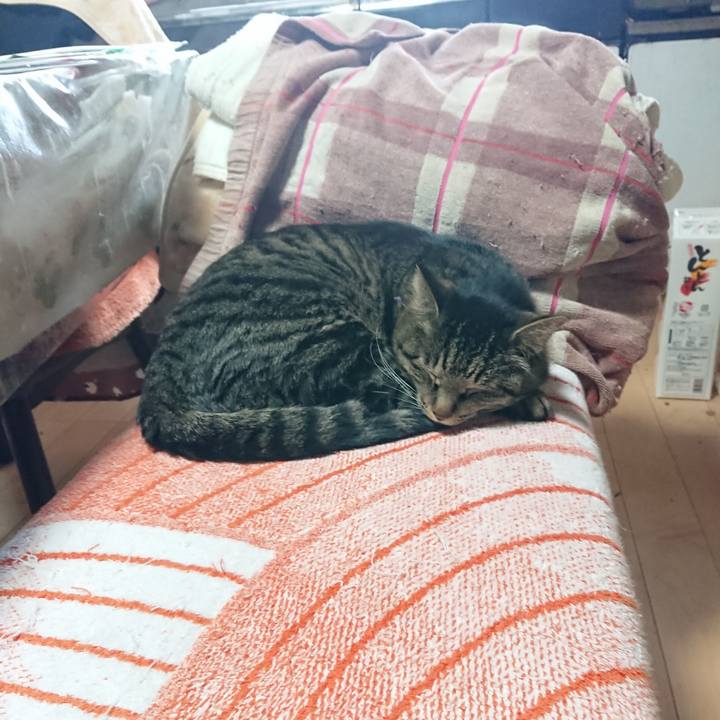 F31704cb 683d 4630 87b7 8ae561a1dfef 1648520817035