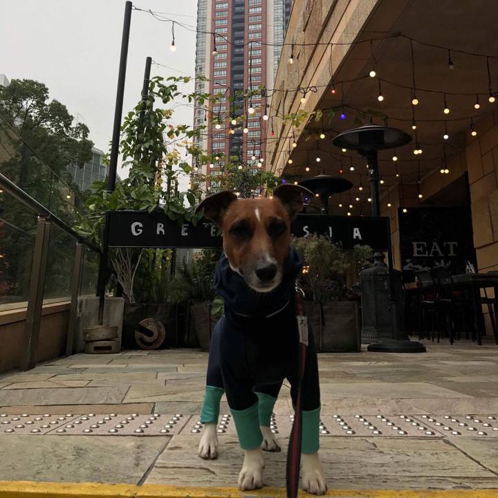 F3170ec8 e47b 4e94 9dd5 e66073dcea28 1512088070922