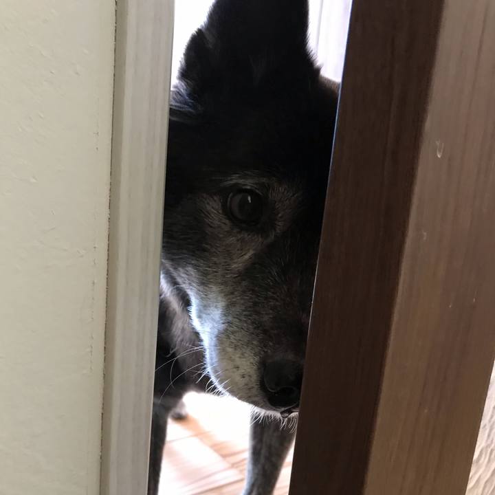 F317113c dc19 4250 a502 d319b4df10f1 1648098792916