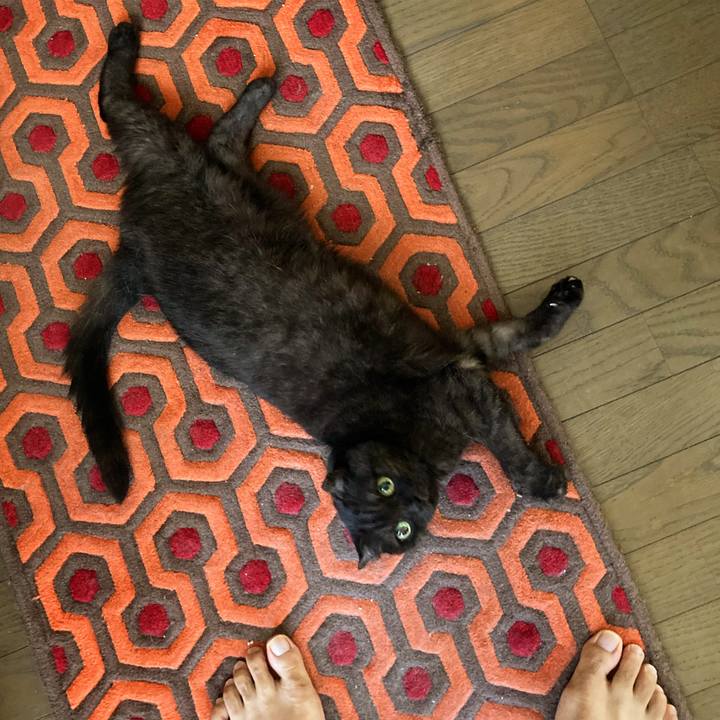 F3173f4e ff27 4ecd 9680 6001da23a801 1628574764814