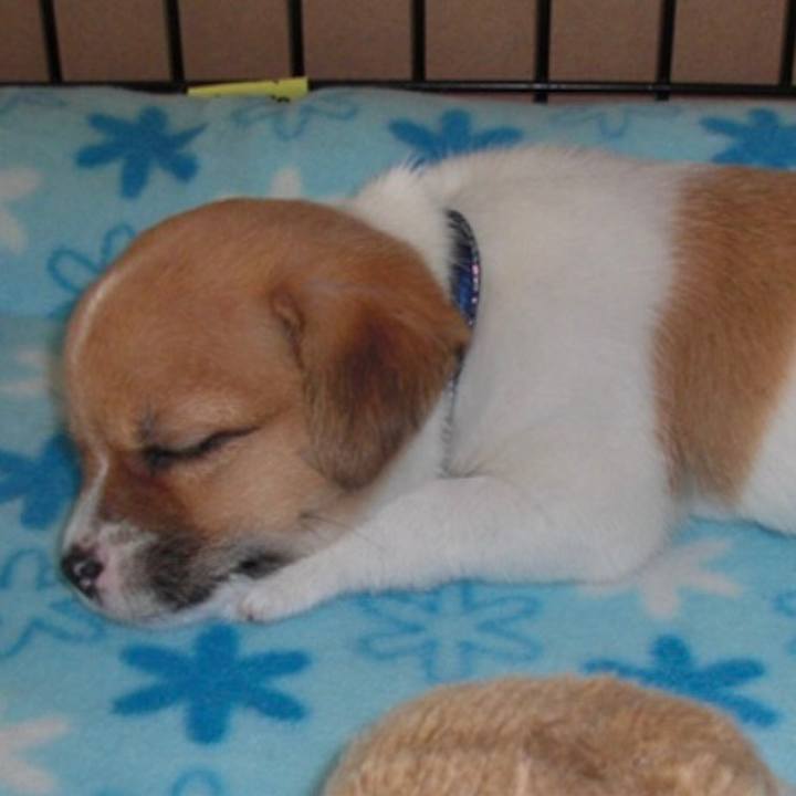 F3178ee6 212a 4b08 a38b 24ab57040f81 1588222814629