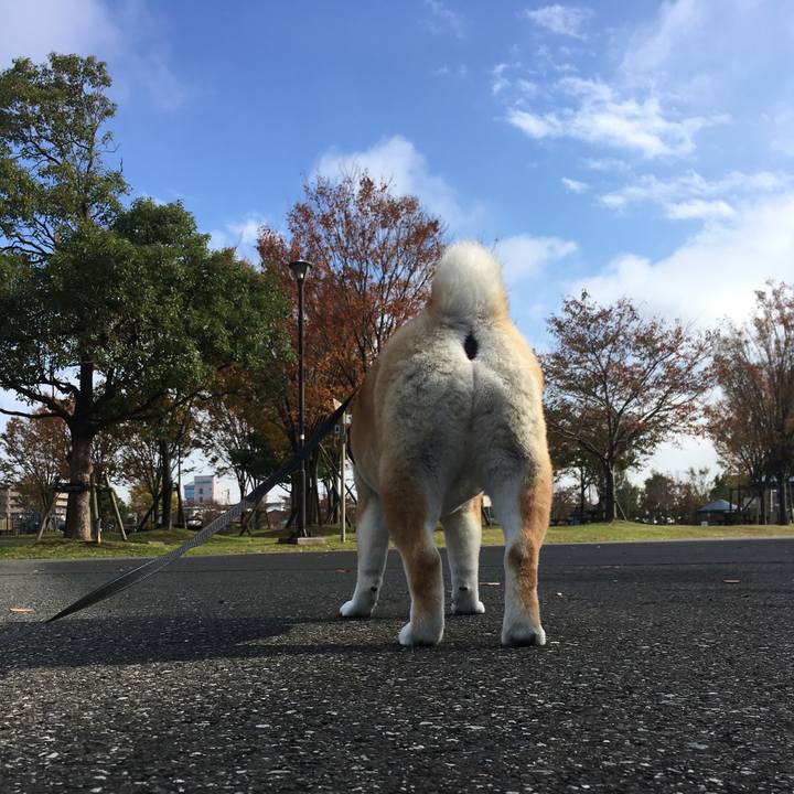 F317eaba fab4 467e 9741 26d7beb72862 1574135911570