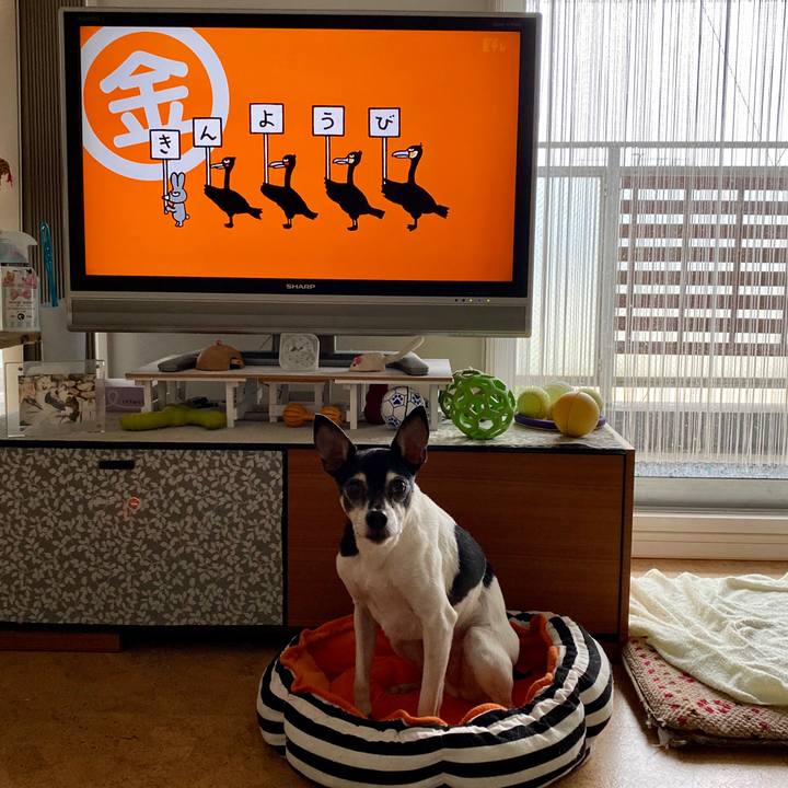 F3180050 126e 4c05 b15c 24ff0e82e31d 1585260009883