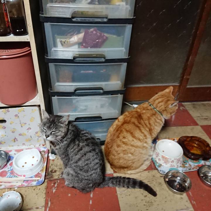 F3181047 bf92 40ca 9c85 d245e943bc87 1584993876810