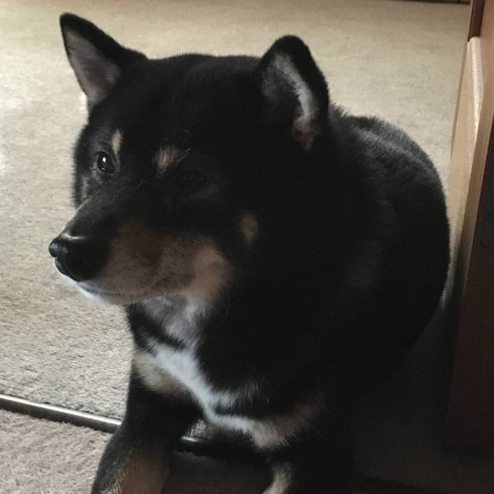 F3183912 3608 40dd 91ca 7b6d1c7685df 1512029818348