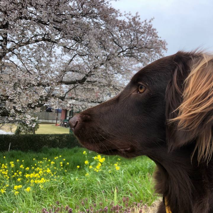 F31851b2 b9aa 4988 8a98 da1d0cd1641a 1585693713459