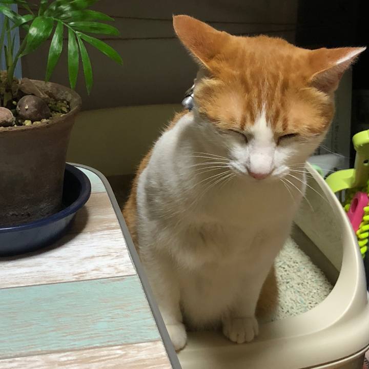 F31867d7 4108 4ab7 940a 2134d7419c70 1542358522650