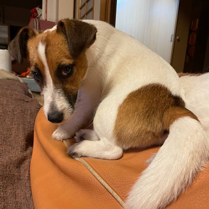 F3187295 4f38 48f9 b161 0a2b1fb91f45 1625663666838