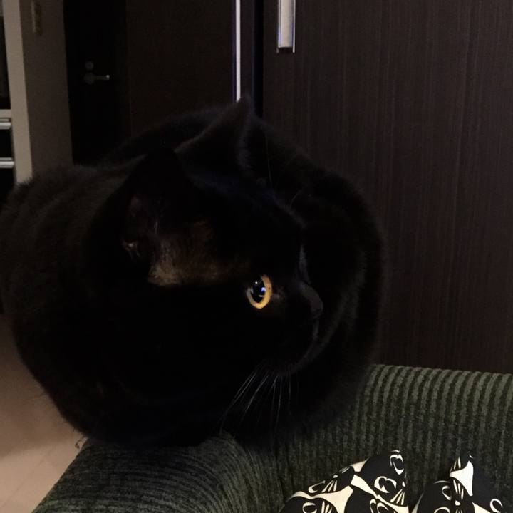 F318c9da ca8e 434c a650 b368100ab999 1576575776685