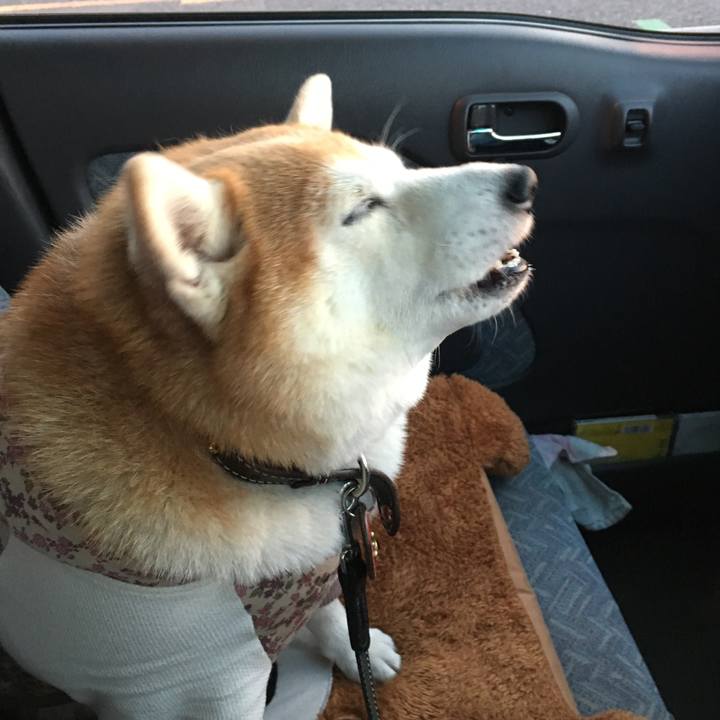 F318fbcf 375f 4538 b6fb f3ecb8e5d8e5 1544438389689