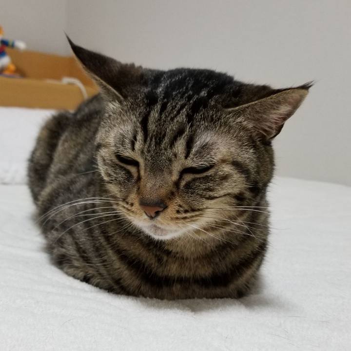 F3190067 f778 4824 9a5a b5d83d417201 1556141949999