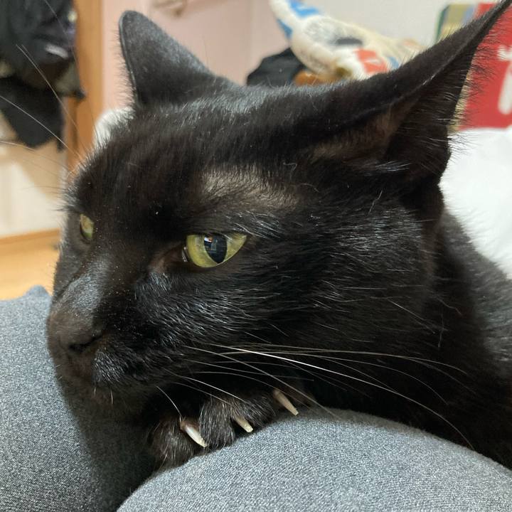 F31909b9 7e30 44d5 9d56 77706c75ff8b 1764980299720