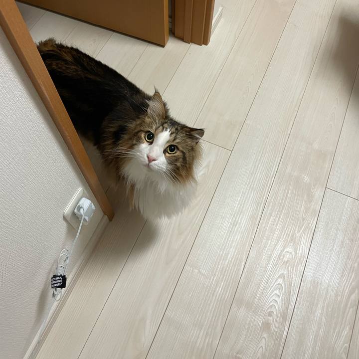 F3194842 86bb 4652 bb5b 37f7e01c4518 1682884751478