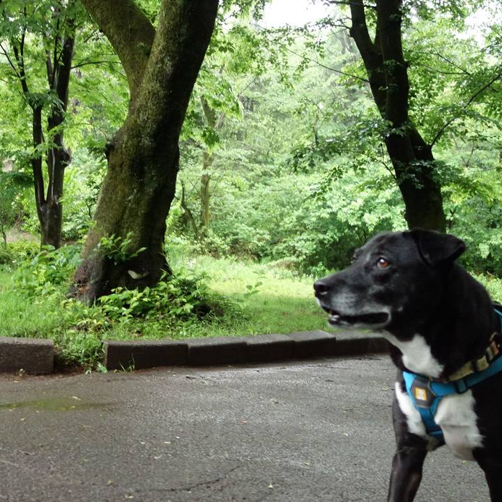 F319547e 6920 4e51 8b33 86a96f1e1b4c 1746834277623