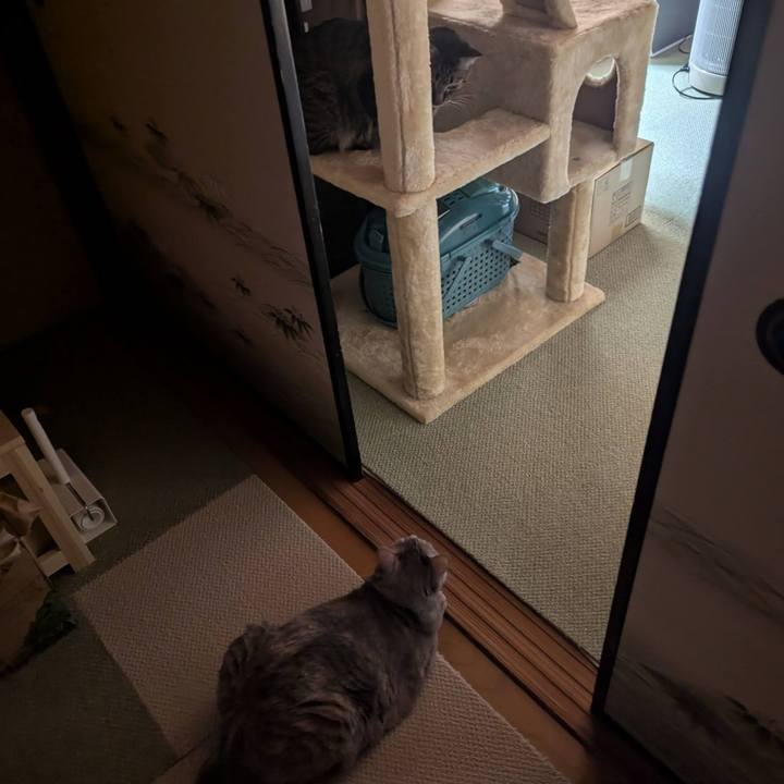 F3196a5c b3c9 46bd 938d edbb756c770d 1744520383037