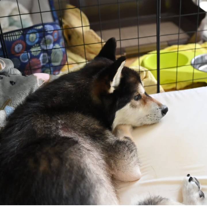 F3197606 164f 43fb a4fe 994ff9897ade 1742514378914