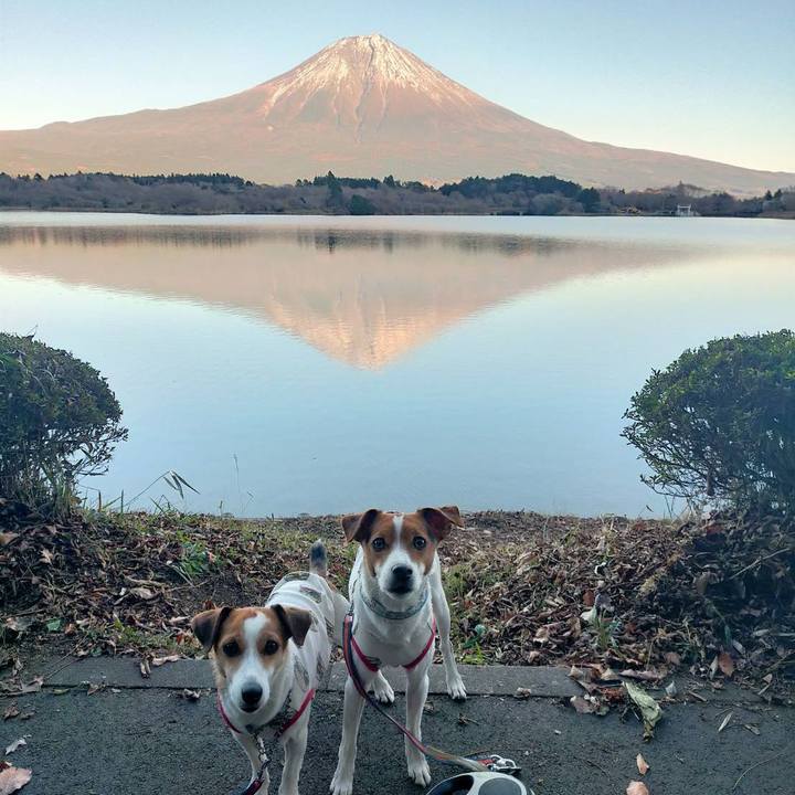 F3198040 bc41 4d89 a134 ac92e335ff58 1765105143201