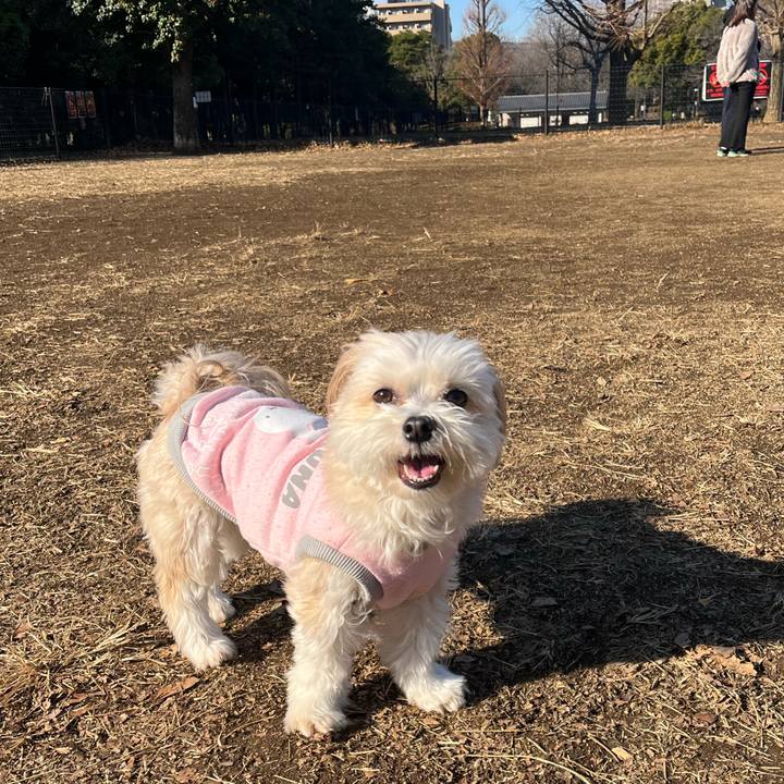 F31980a4 0dfd 42d1 a19f 8ba6c28c0be7 1768019845614