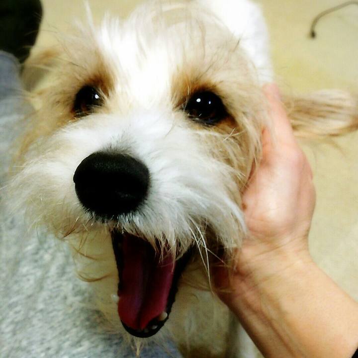 F3198196 e762 4638 a226 2bf0edc37148 1519474958157