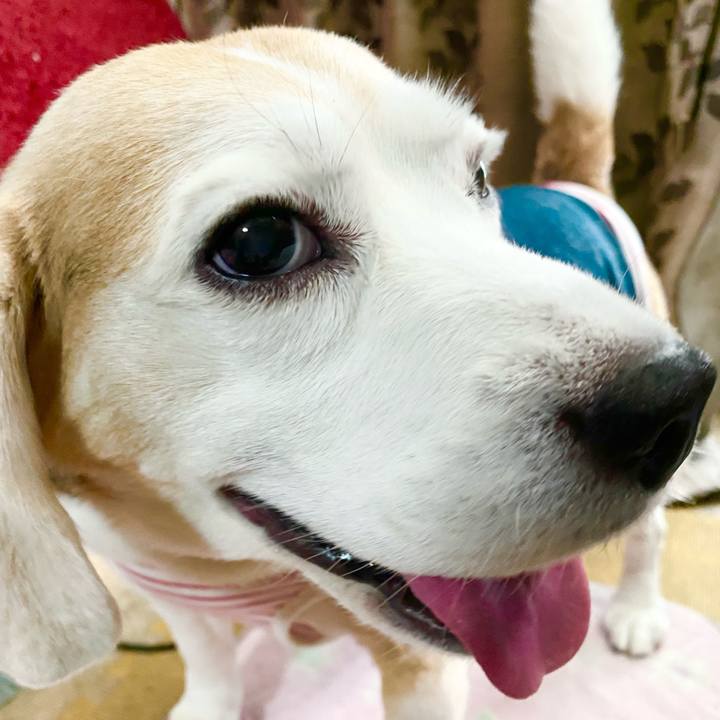 F319b531 8cee 46b3 b0ec b47424f5b99c 1625375052098