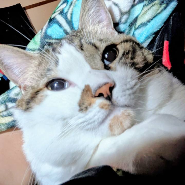 F319ba3c 8d2f 4852 8284 6efbcd36ccce 1760880474463