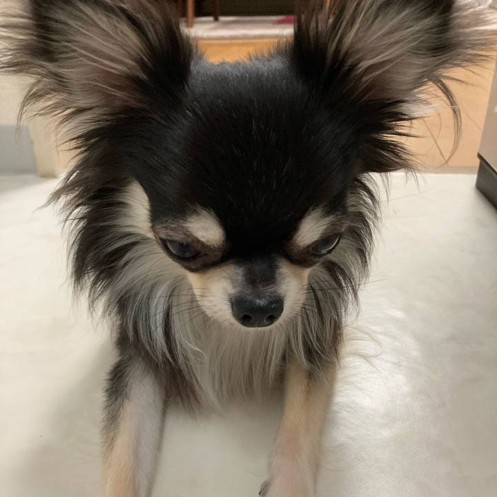 F319e552 0749 45bd 929e d0f7af06661f 1616855358133