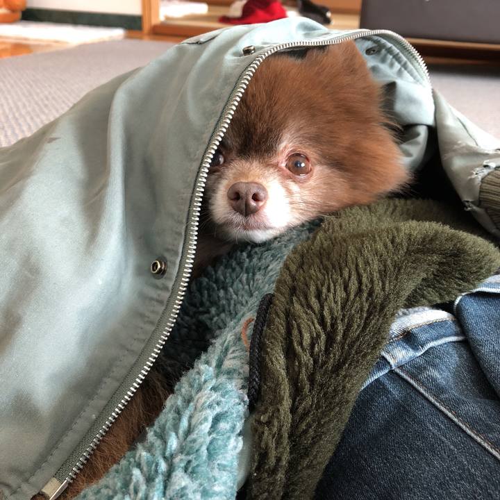 F319ebf8 3bcd 4547 96af 0ed94d2759ae 1549688505672