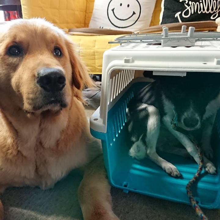 F31a0bf0 569b 444e ba1d dc083b994aca 1532427580537