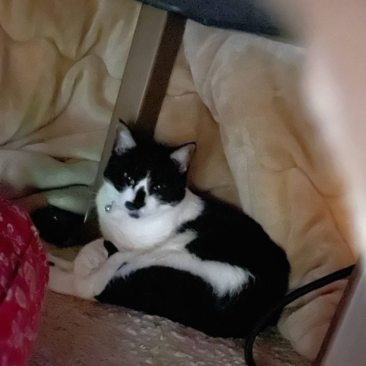 F31a29e8 dece 42e7 a7fa e2be6c25cfb6 1770457318895