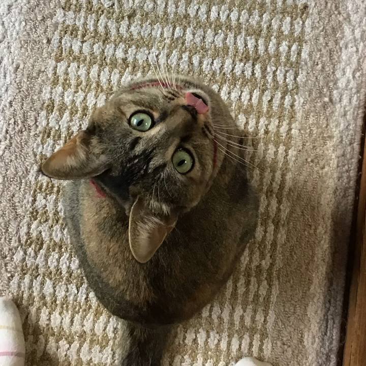 F31a3f24 3637 412a b6fe 881e1e98757a 1598864353956