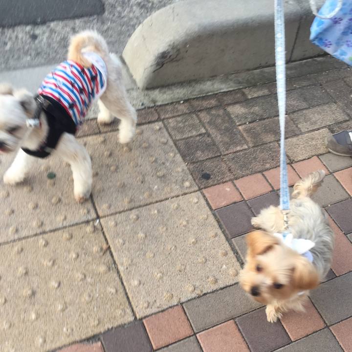 F31a5484 6452 475e 8cd8 964f9224ad93 1538478321522