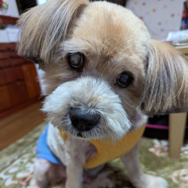 F31a588d d1e3 4013 9bde b1a8d4fe3247 1740814961569