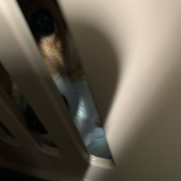 F31a90de dbeb 44ef 98a1 89e783812255 1667702301019