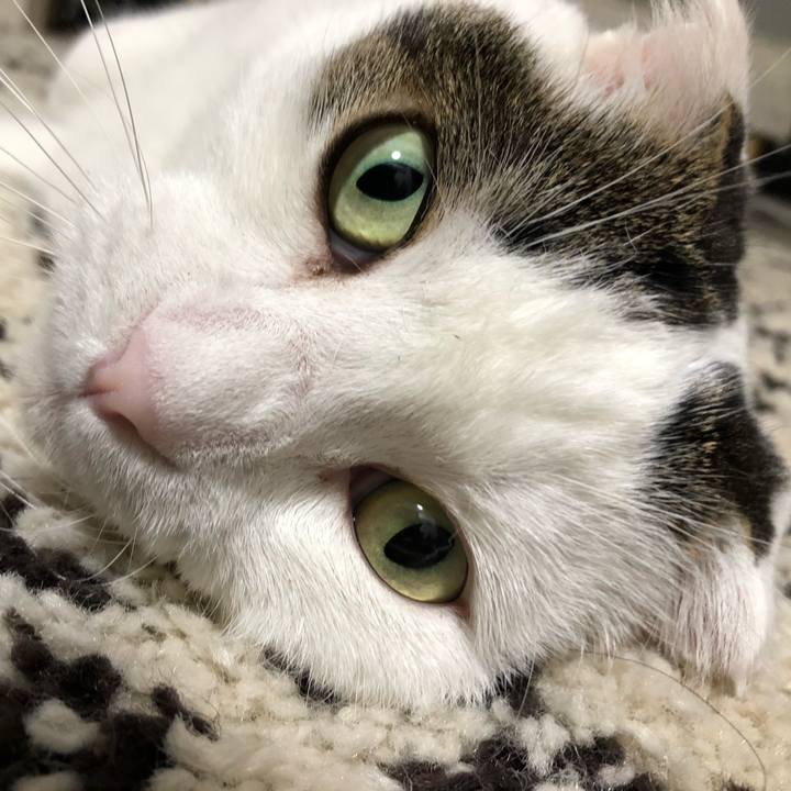 F31aa55e 27a5 497d 9401 42b6ea2a5b1d 1564833850068